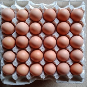 Organic Brown Eggs