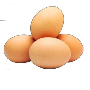 Premium Kadaknath Eggs