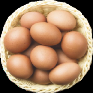 BROWN EGG